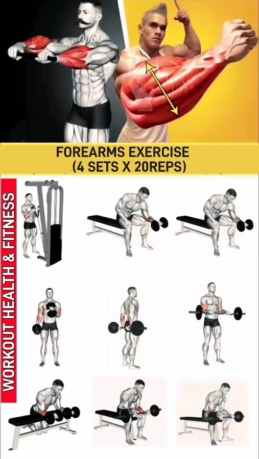 0 05 Forearm Workout For Muscle Gain. Forearm Exercises..jpg