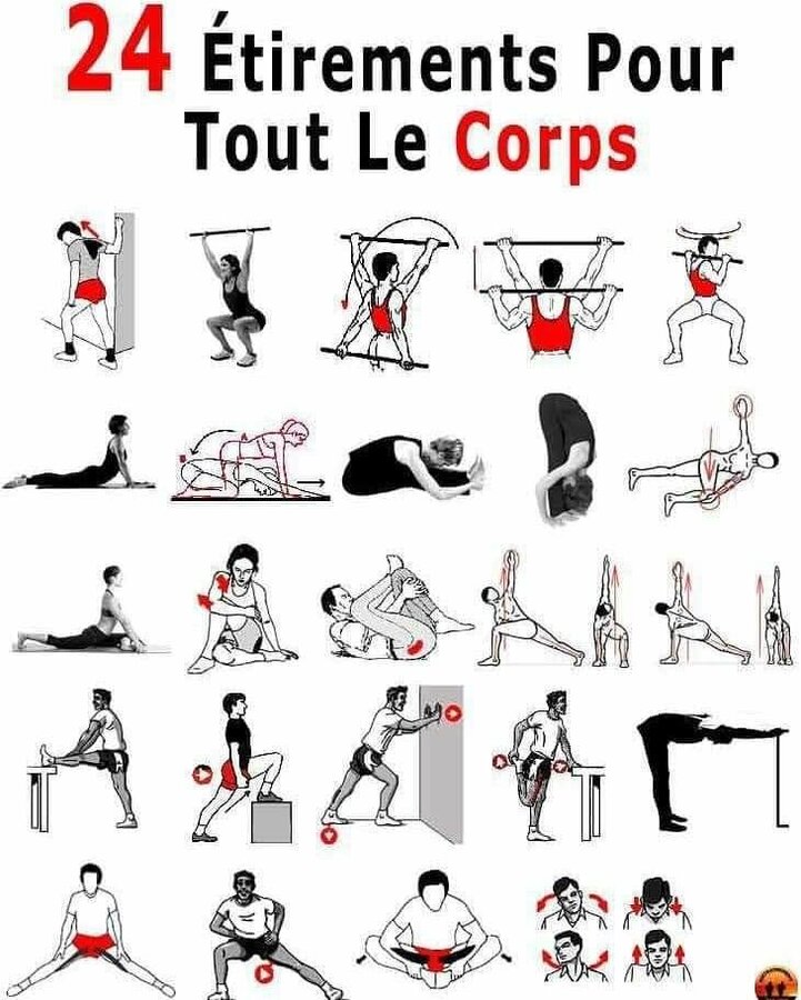 24 Étirements pour tout le corps 24 Étirements pour tout le corps.jpg