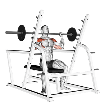 Barbell-Shoulder-Press.gif
