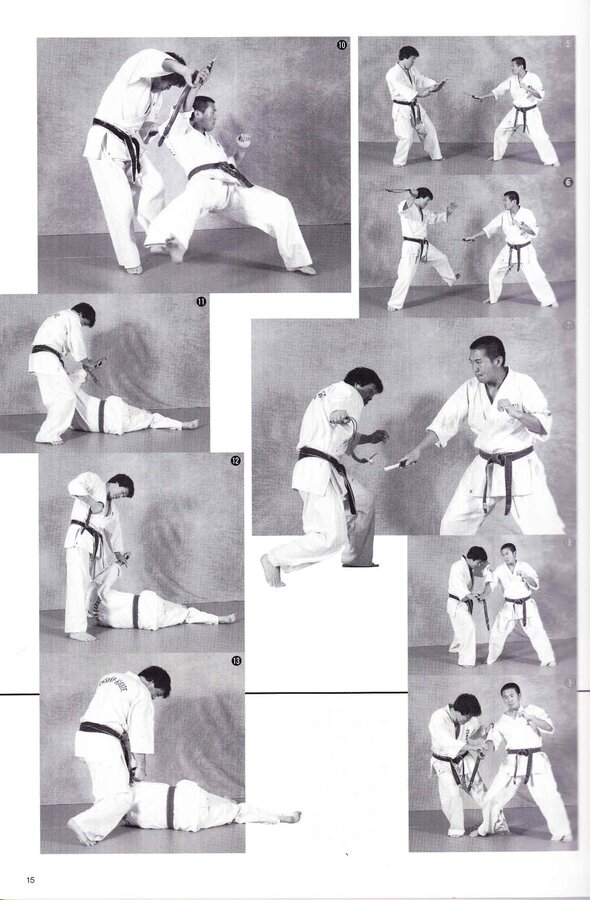 Media Articals_Enshin Techniques - Budo-Ra Vol 8 2007-027.jpg