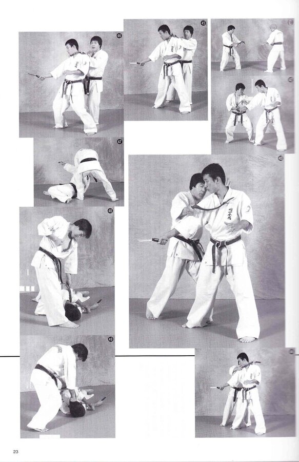 Media Articals_Enshin Techniques - Budo-Ra Vol 8 2007-070.jpg