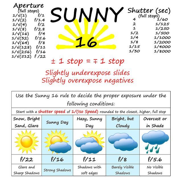 # photographers #beginners #photography-003.jpg